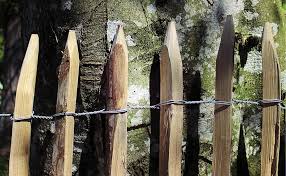 Wrapping steel posts with wood when building wood fence. Wood Fence Pole Fence Wooden Fences Roll Fence Limit Fence Wired Wire Pikist