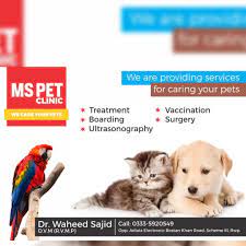 Pet clinic opposite attock petrol pump bostan khan road scheme 3 rawalpindi rawalpindi, punjab, pakistan, 46600 Ms Pet Clinic Rawalpindi Home Facebook