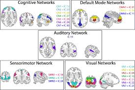 x state law change   federal law or regulation change   court order   clarification requested by one or more counties. Zhrgnctm3gt8zm