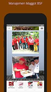 Mengetahui #ara budidaya maggot dengan. Updated Budidaya Maggot Bsf Modern Tanpa Bau Yurie Bsf App Download For Pc Android 2021