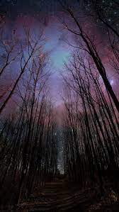 Wither Trees Towards Shiny Starry Sky Iphone 6 Wallpaper Download Iphone Wallpapers Ipad Wallp Night Sky Wallpaper Live Wallpaper Iphone Iphone 6s Wallpaper
