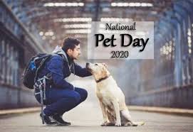Back by popular demand our master list of pet holidays are here! National Pet Day Quotes Best National Pet Day 2020 Quotes Wishes Status Technewssources Com
