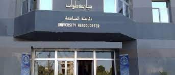 مركز تكنولوجيا المعلومات جامعة حلوان نتائج الطلاب new egypt house styles outdoor decor