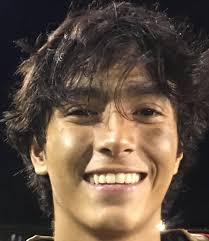 Cimino triggers big-play Andrean offense