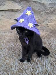 Pin On Gorros De Gato