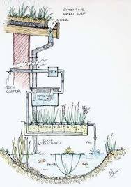 Aquaponics Business Plan Aquaponicsfarm Post 8242027430 Remediesforpsoriasisonface Aquaponic Gardening Aquaponics Diy Backyard Aquaponics