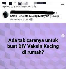 Siapa yang bisa menyangkal kalau kucing merupakan salah satu peliharaan yang menggemaskan? Vaksin Diy Kucing