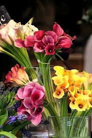 Calla Lilies Orlandoweddingflowers Www Callaraesfloralevents Com Beautiful Flowers Calla Lily Calla Lillies