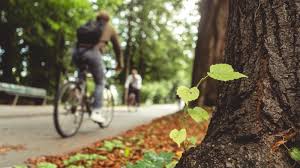 Mobilidade sustentável ganha R$ 120 milhões em apoio a projetos inovadores  — Ministério da Ciência, Tecnologia e Inovação