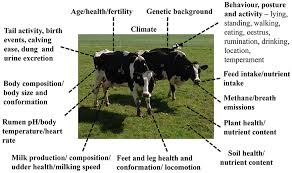 Frontiers Novel Monitoring Systems To Obtain Dairy Cattle