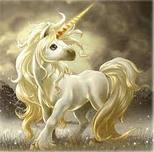 We have a massive amount of desktop and mobile wallpapers. High Resolution Cute Unicorn Desktop Laptop Wallpaper High Resolution Images Of Unicorn 262520 Hd Wallpaper Backgrounds Download