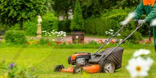 How to Switch to Organic Lawn Care - Organic Lawns