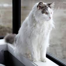 Lebe Vom Neuen Garten Nicht So Grun Im Wirklichen Leben Ideen Baum Garten Leben Neue Wege