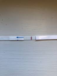 What the results mean 1 line = not pregnant. Does Taking Tests Apart Make Them Invalid Babycenter