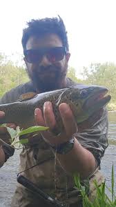 Catching a 3lb brown trout in Michigan
