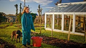 Der ingen skulle tru at nokon kunne bu, sjelden og utgått norsk tittel på dvd. Nrk Tv Der Ingen Skulle Tru At Nokon Kunne Bu