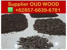 Kayu gaharu untuk parfum walet. Gaharu Indonesia Suppliers 62 857 6639 6781 Indonesia Gaharu K