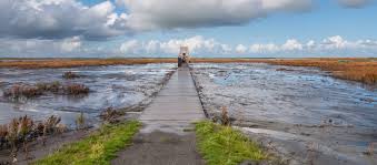 Marker wadden is still in the process of being. Wandelen Op De Marker Wadden Op Pad
