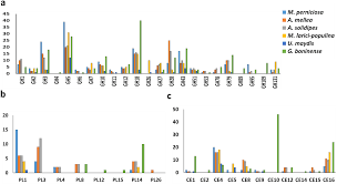 Permata bonda empire sdn bhd. Insight Into Plant Cell Wall Degradation And Pathogenesis Of Ganoderma Boninense Via Comparative Genome Analysis Peerj