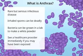 Image result for Anthrax