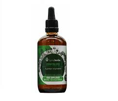 Image result for Cryptolepis