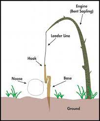 How are snares used to catch small animals? Blog How To Make A Simple Snare