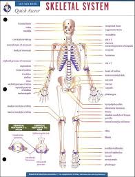 Pin On Art Science