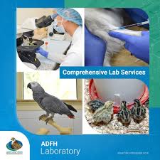 Abu Dhabi Falcon Hospital In 2020 Abu Dhabi Hospital Health Care Services