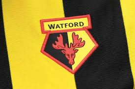 I made those 512×512 watford fc team logos & kits for you guys enjoy and if you like those logos and. Design The New Official Badge For Watford Football Club