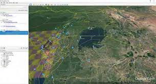 Image result for Globimetula kivuensis