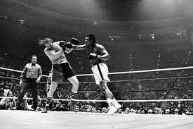 Pin On Ali