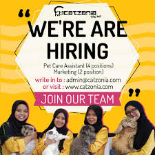 Jika anda pernah ke wangsa maju, anda pasti tahu yang ada banyak tempat makan di sini yang boleh diterjah. Catzonia Jawatan Kosong Di Catzonia Cat Hotel Facebook