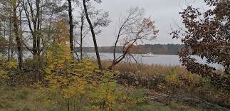 N wir euch unsere wanderungen in der hammeniederung vorstellen. Wandern 431 Berlin Muggelheim Wald Und 1000 Dm Bergtour Teufelsmoor Tour 175029