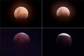 When and where can the 'super blood moon' be viewed? Our Favourite Images Of The Super Blue Blood Moon Cosmos Magazine