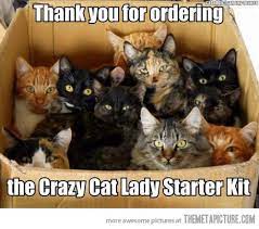 Thanks For Your Order Ealmicla Crazy Cat Lady Meme Crazy Cats Cat Lady Meme