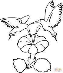 Plus, floral coloring pages make for wonderful wall art that can make kids teach your child about the hummingbird with this coloring page featuring a couple of hummingbirds pulling nectar from a flower. Cool Crafts Crafts Cool Crafts Cool Crafts For Kids Cool Crafts Diy Flower Coloring Pages Hummingbird Coloring Pages Bird Coloring Pages