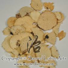 Chinese Herb Chuan Mu Tong Clematis Caulis Clematidis Armandii