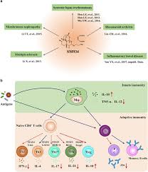 Wang hou yu sheng release date: Water Soluble Artemisinin Derivatives As Promising Therapeutic Immunosuppressants Of Autoimmune Diseases Cellular Molecular Immunology