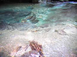 静岡 川遊び 穴場