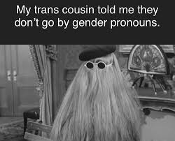 Lisa ryder (born 26 october 1970) citation needed is a canadian actress, who portrayed the role of beka valentine on the science fiction television series andromeda Cousin Itt Funny