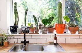 A Beginner S Guide To Houseplant Lighting Fantastic Services Blog