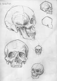 Pin On Skull Collaborators