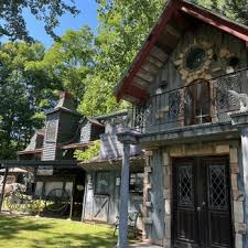 Image result for Blackthorne