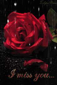 Maybe you would like to learn more about one of these? Raining Rose I Miss You Gif I Miss You Miss You Miss You Too