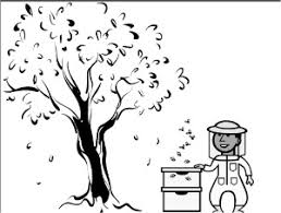 Some bee hive coloring may be available for free. Bee Coloring Pages Free To Download And Print