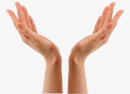 Mains En L Air Les Mains En L Air De Longues Mains Ouvre La Main Fichier Png Et Psd Pour Le Telechargement Libre Hand Pose Wrinkles Hands Hand Clipart