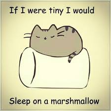 Cute Cat Drawings Tumblr Car Memes Pusheen Cute Cute Cat Drawing Pusheen Cat