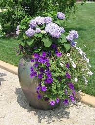 0dd29da8befaa08f94a10b0076f14614 Jpg 600 793 Pixels Container Gardening Flowers Container Gardening Container Plants