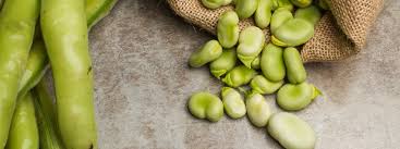 Con le fave si può realizzare anche un delizioso purè. Fave Valori Nutrizionali E Benefici Di Un Legume Che Fa Bene Al Cuore