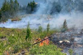 British columbia declares state of emergency over wildfires canadian officials said nearly 300 active wildfires in the province have prompted evacuation orders, impacting more. Four New Fires Sparked In North Okanagan Summerland Review